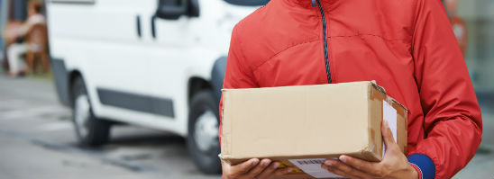 GuardianMPS Users Delivery and Courier Services